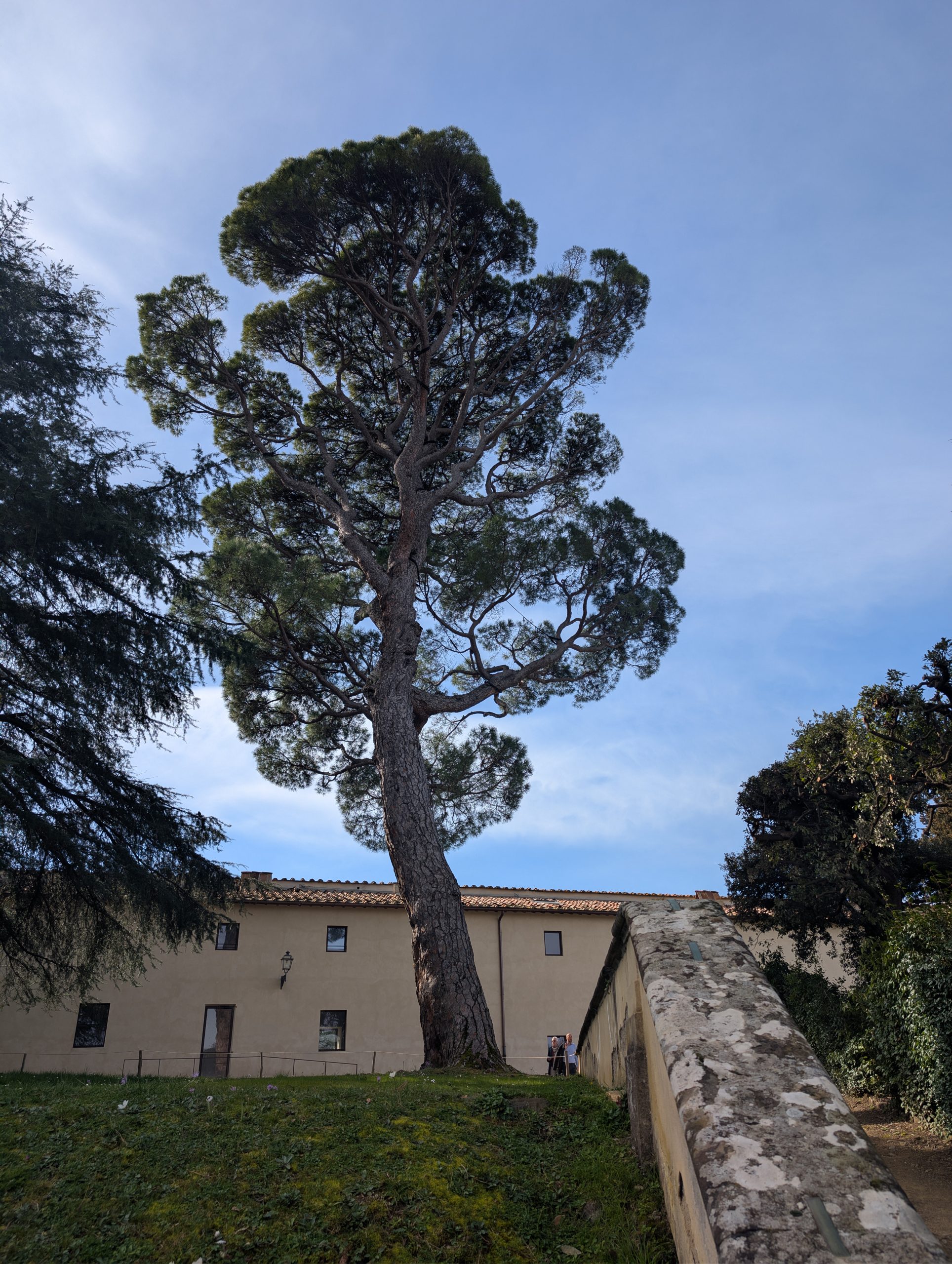 La nostra missione